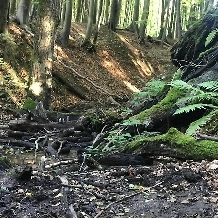 Homelig Altstadt Ferienwohnungen Sassnitz Fewo 4 Exteriör bild